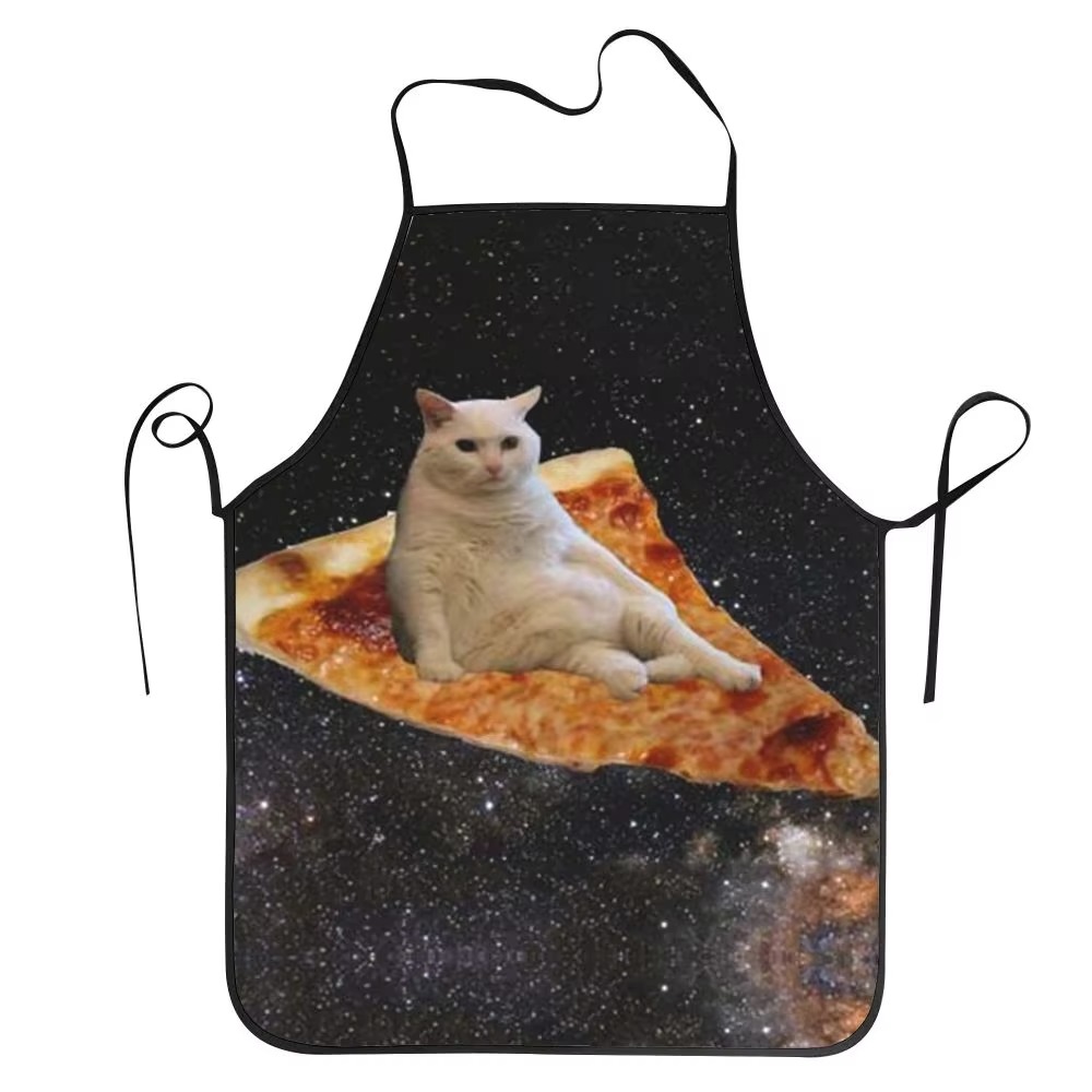 1PC Unisex Space Pizza Cat Apr - Home Cooking For Cats review and price