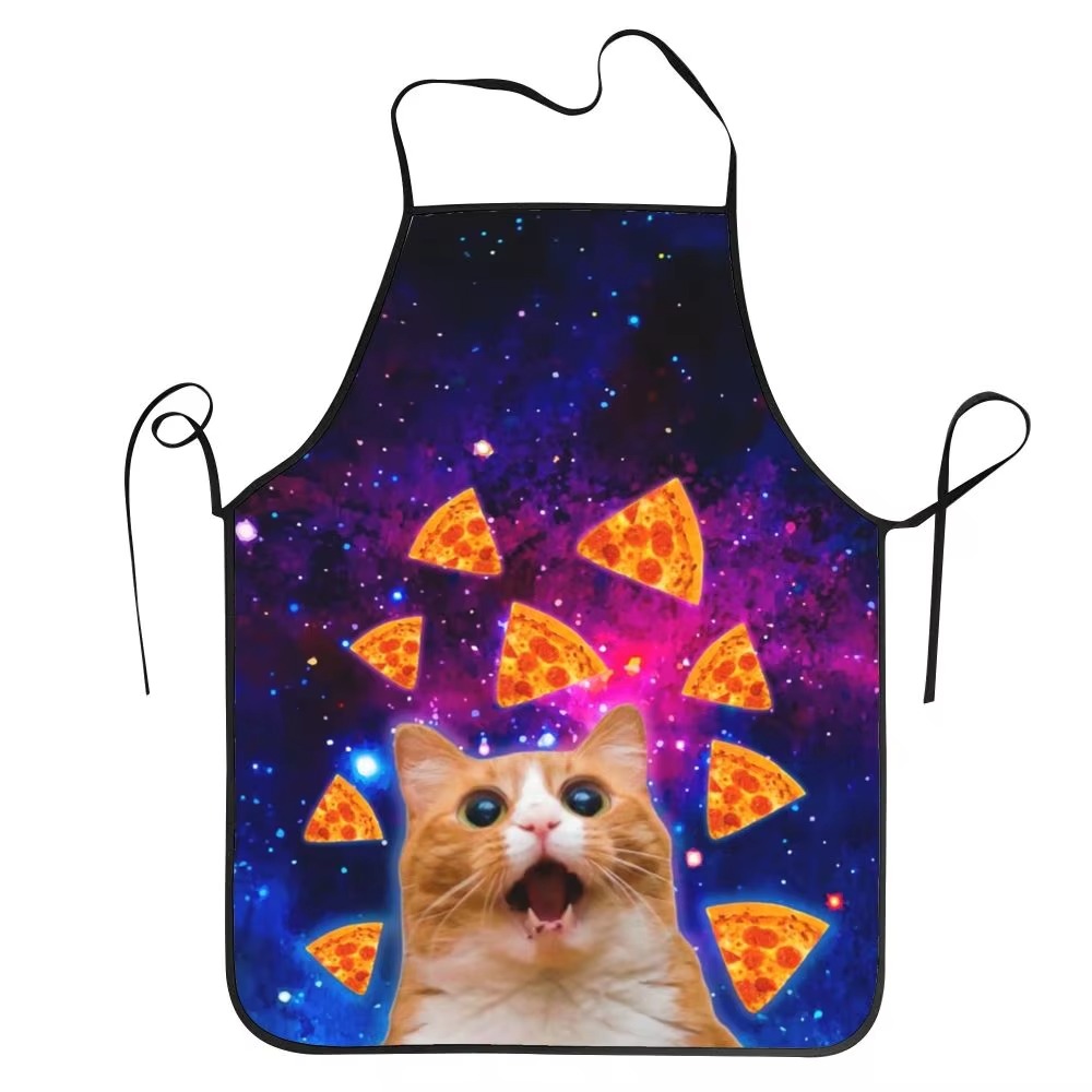 1PC Unisex Space Pizza Cat Apr - Home Cooking For Cats review and price